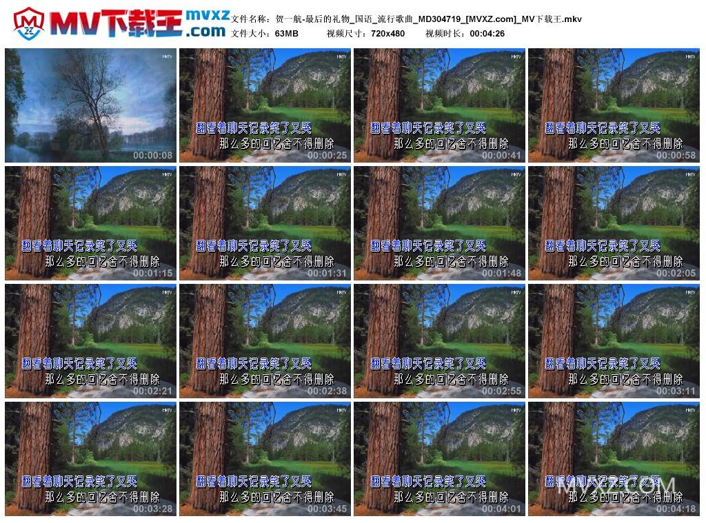 贺一航-最后的礼物_国语_流行歌曲_MD304719